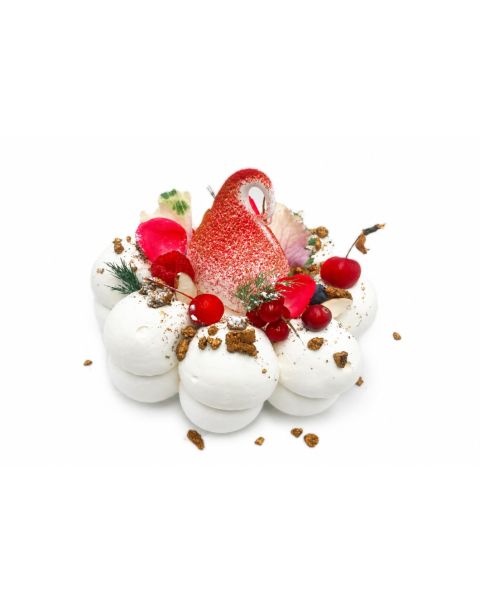 PAVLOVA DE NOËL