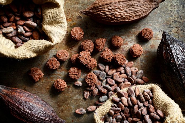 TOUT CHOCOLAT #2